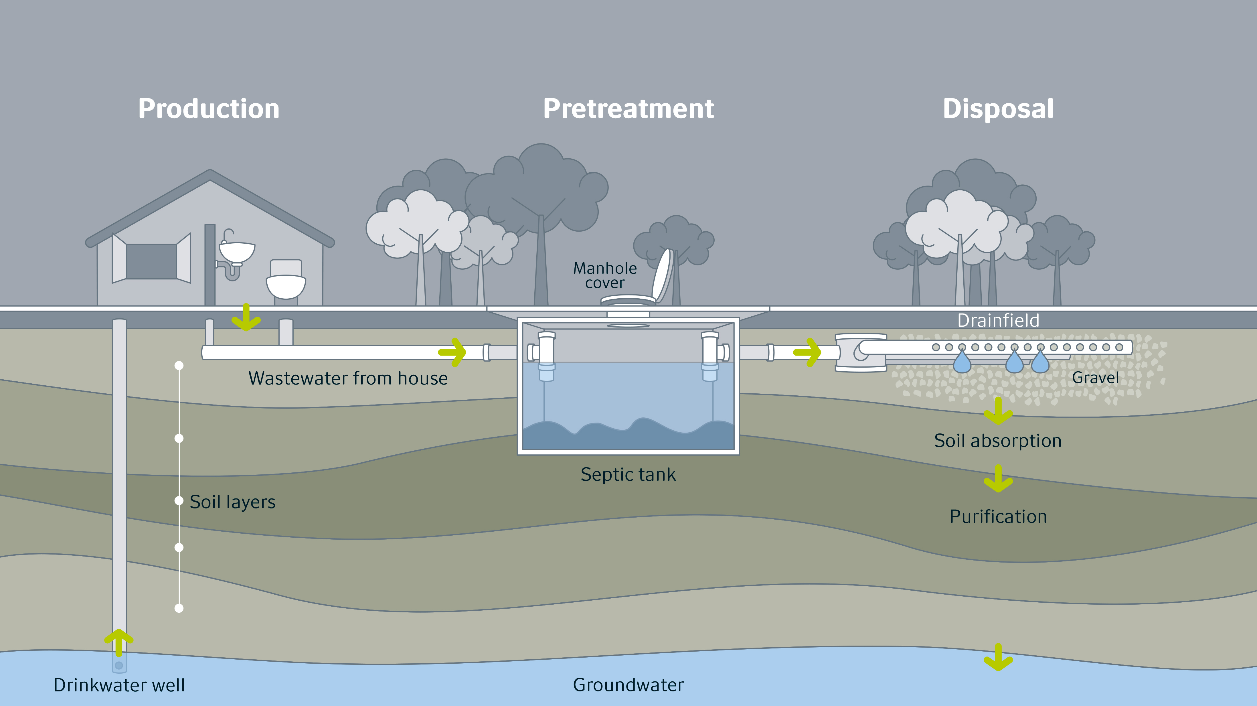 How Does a Septic System Work?