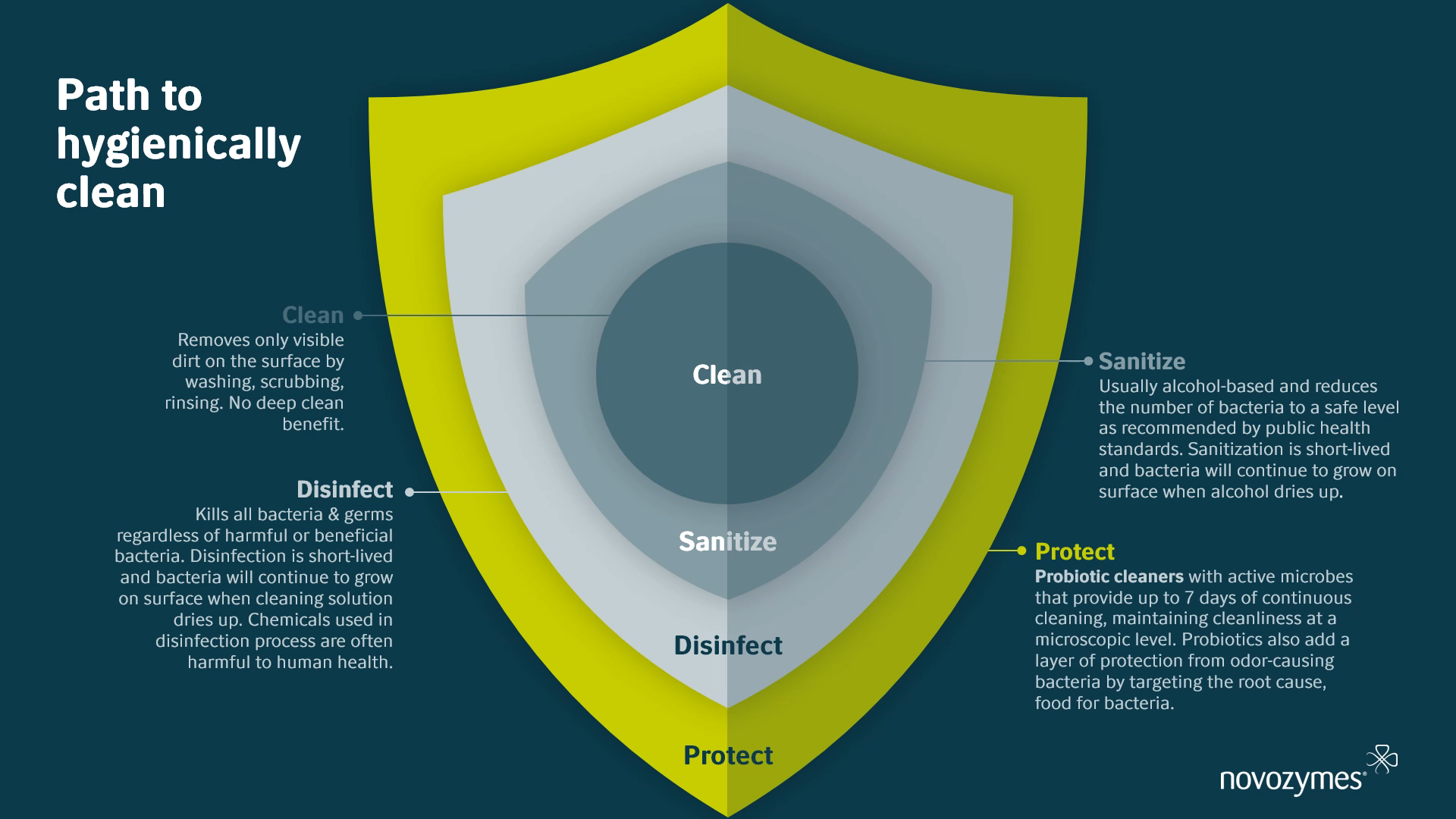 Shield infographic