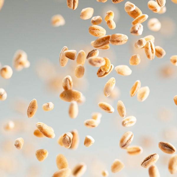 Plant-based foods Barley