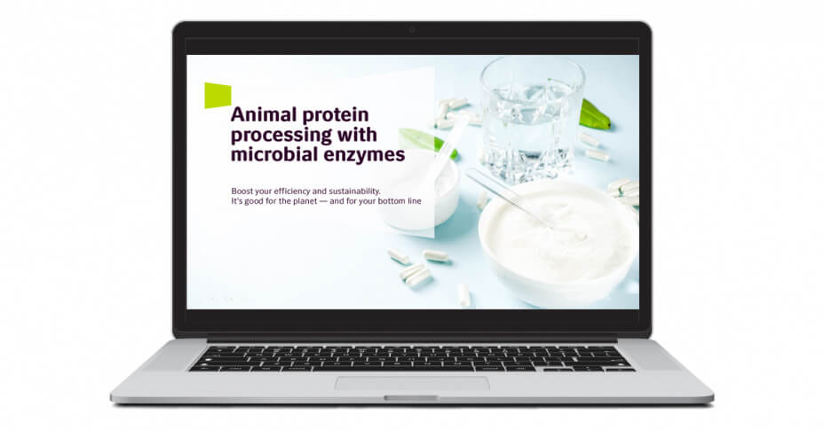 Get more from animal co-products with enzymes | Novozymes