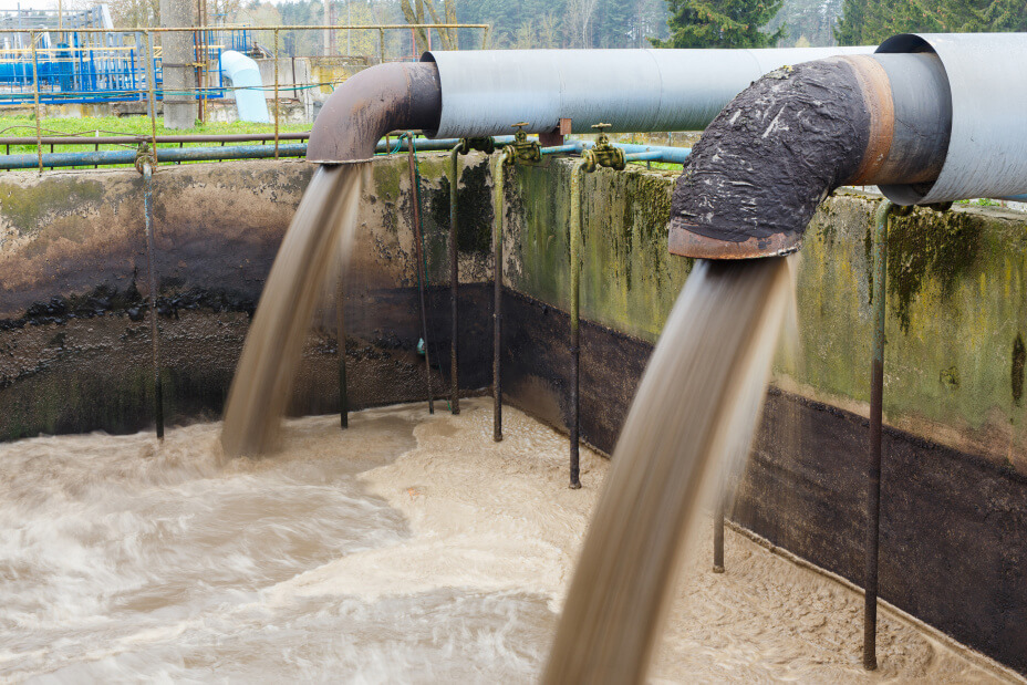 sludge management in wastewater treatment